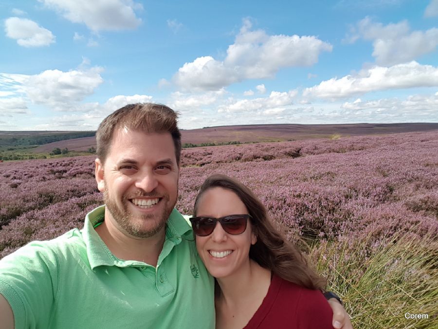 עם ה Calluna vulgaris ברקע